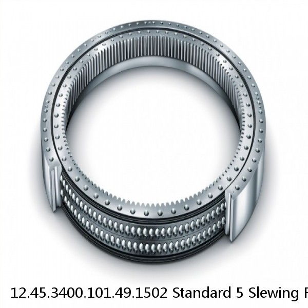 12.45.3400.101.49.1502 Standard 5 Slewing Ring Bearings