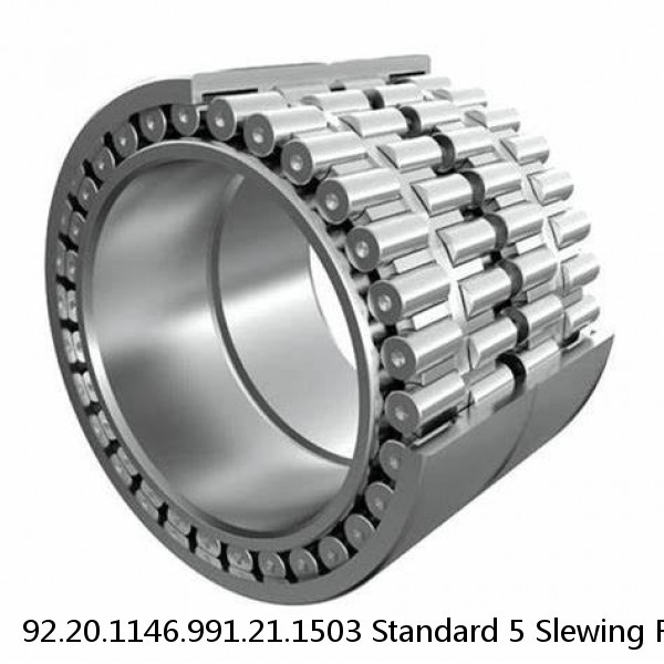 92.20.1146.991.21.1503 Standard 5 Slewing Ring Bearings