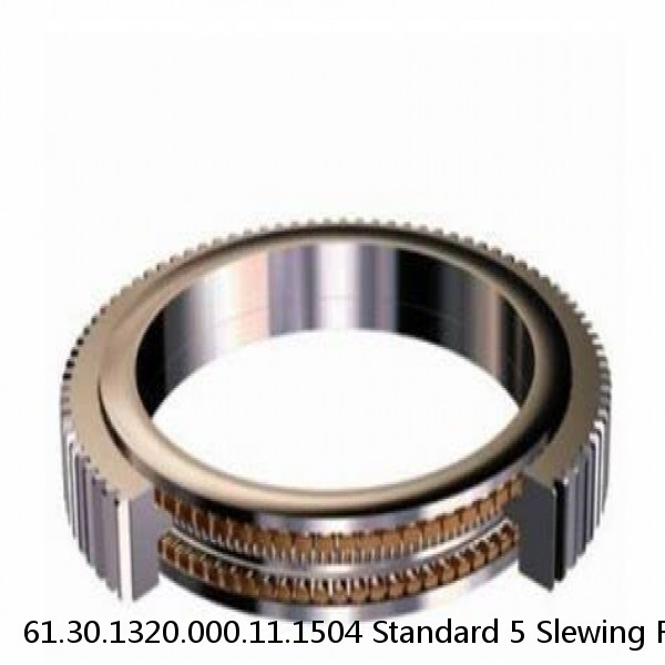 61.30.1320.000.11.1504 Standard 5 Slewing Ring Bearings