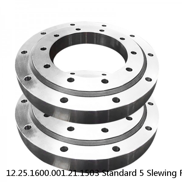 12.25.1600.001.21.1503 Standard 5 Slewing Ring Bearings