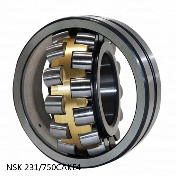 231/750CAKE4 NSK Spherical Roller Bearing