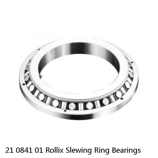 21 0841 01 Rollix Slewing Ring Bearings