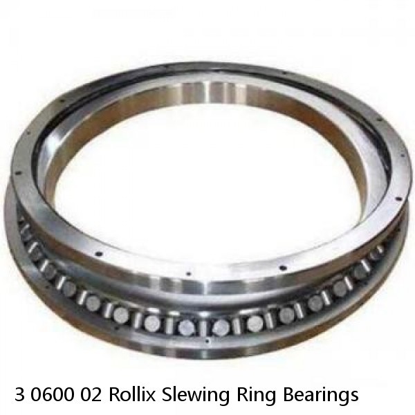 3 0600 02 Rollix Slewing Ring Bearings