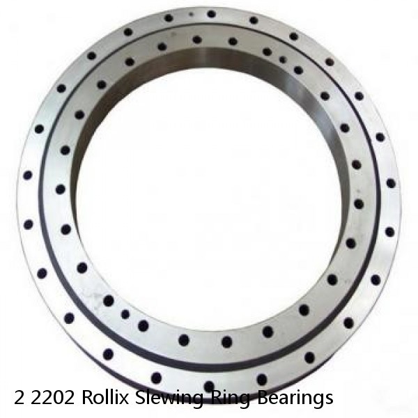 2 2202 Rollix Slewing Ring Bearings