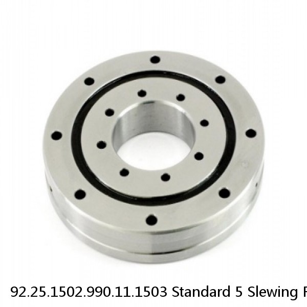 92.25.1502.990.11.1503 Standard 5 Slewing Ring Bearings