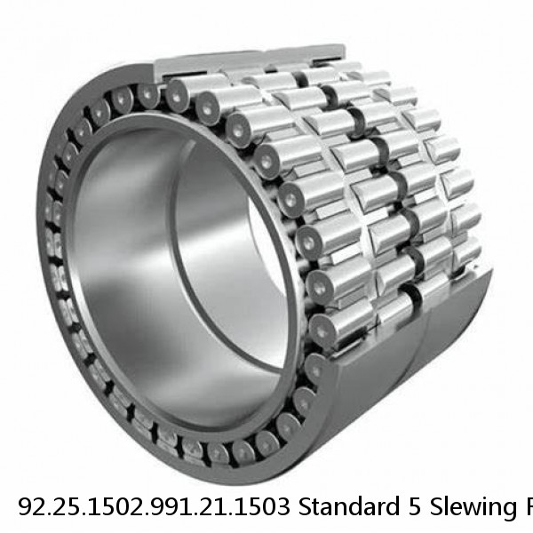 92.25.1502.991.21.1503 Standard 5 Slewing Ring Bearings