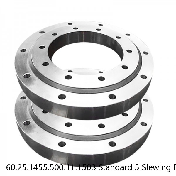 60.25.1455.500.11.1503 Standard 5 Slewing Ring Bearings