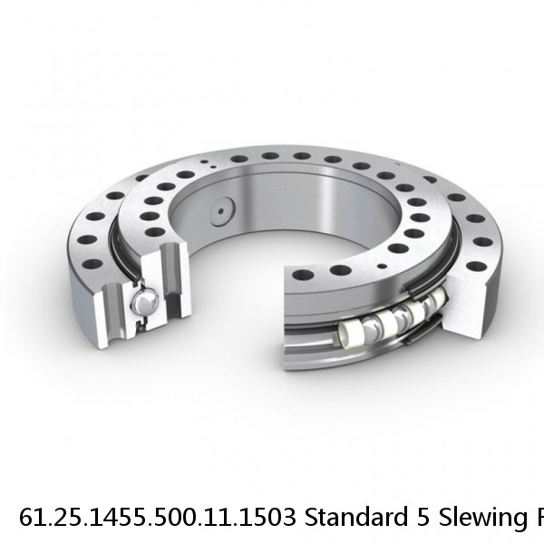 61.25.1455.500.11.1503 Standard 5 Slewing Ring Bearings