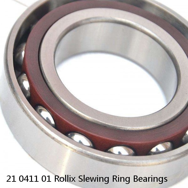 21 0411 01 Rollix Slewing Ring Bearings