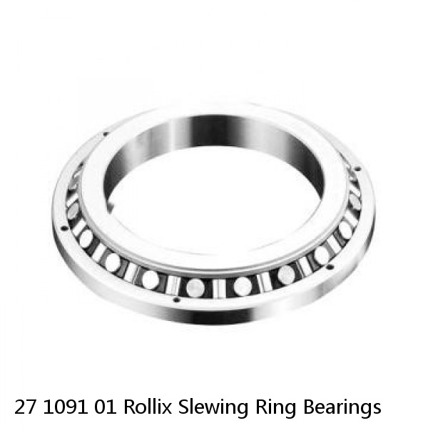 27 1091 01 Rollix Slewing Ring Bearings