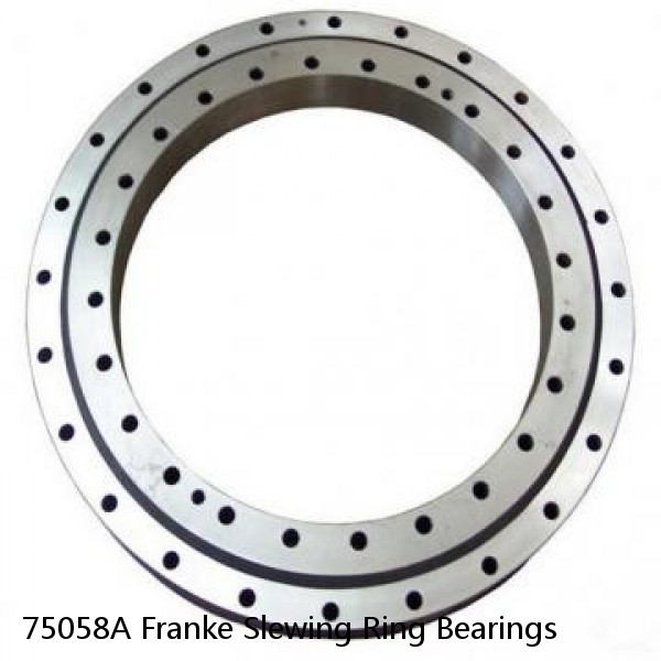 75058A Franke Slewing Ring Bearings