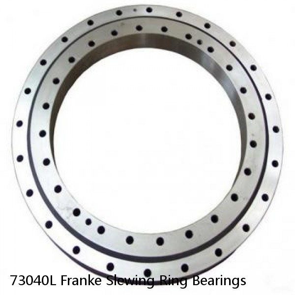 73040L Franke Slewing Ring Bearings