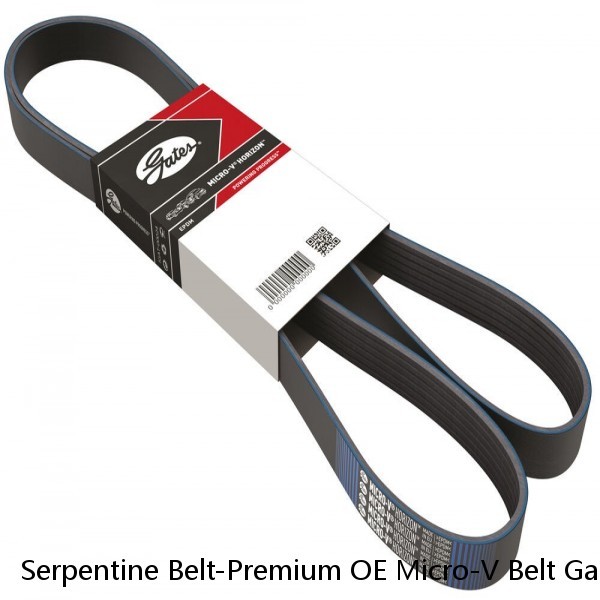 Serpentine Belt-Premium OE Micro-V Belt Gates K081264
