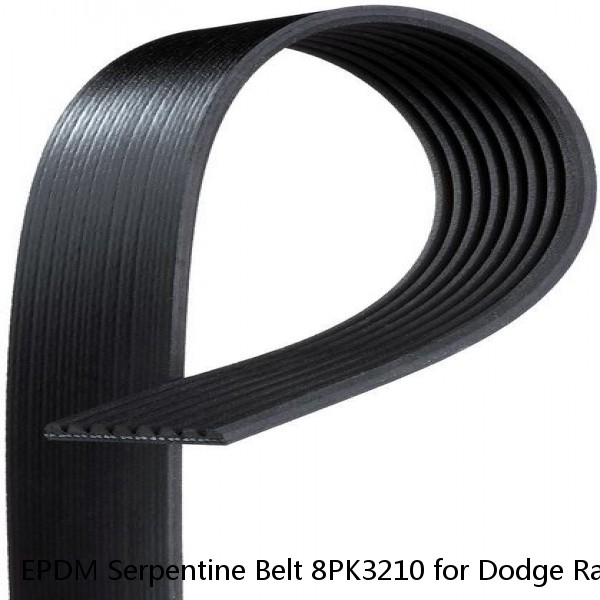 EPDM Serpentine Belt 8PK3210 for Dodge Ram 2500 3500 Ford F250 350 Super Duty